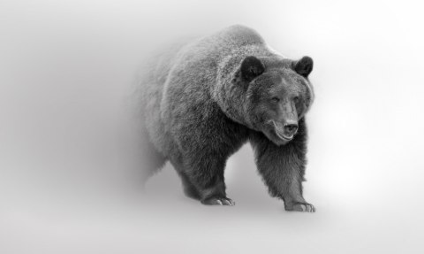 Obraz Wieloczęściowy Niedźwiedź We Mgle 3D Canvas 150x90 LBS-4687-C150-90_1X30-90_2X30-60_2X30-30