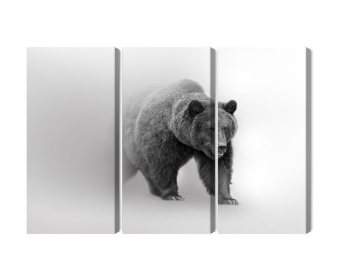 Obraz Wieloczęściowy Niedźwiedź We Mgle 3D Canvas 180x120 LBS-4683-C180-120_3X60-120