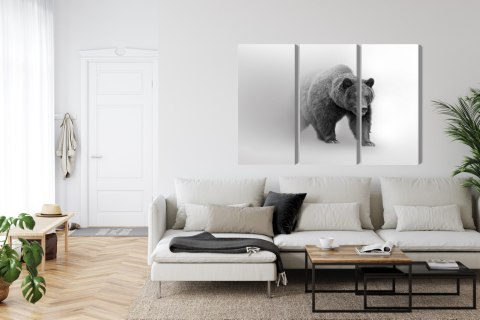 Obraz Wieloczęściowy Niedźwiedź We Mgle 3D Canvas 180x120 LBS-4683-C180-120_3X60-120