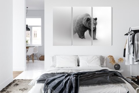 Obraz Wieloczęściowy Niedźwiedź We Mgle 3D Canvas 180x120 LBS-4683-C180-120_3X60-120