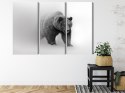 Obraz Wieloczęściowy Niedźwiedź We Mgle 3D Canvas 180x120 LBS-4683-C180-120_3X60-120