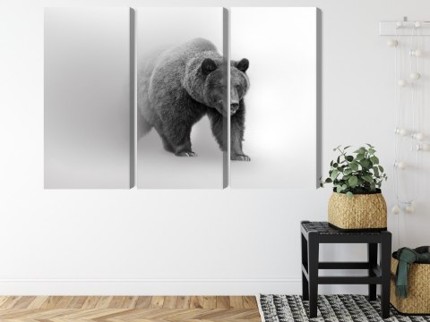 Obraz Wieloczęściowy Niedźwiedź We Mgle 3D Canvas Naturalny 120x80 LBS-4683-NC120-80_3X40-80