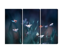 Obraz Wieloczęściowy Biedronki I Polne Kwiaty W Skali Makro Canvas Naturalny 150x100 LBS-3943-NC150-100_3X50-100