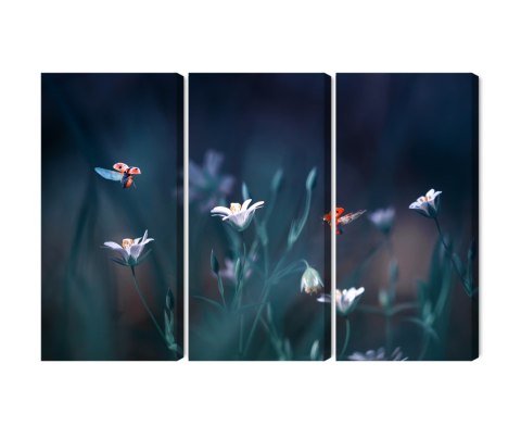 Obraz Wieloczęściowy Biedronki I Polne Kwiaty W Skali Makro Canvas Naturalny 180x120 LBS-3943-NC180-120_3X60-120