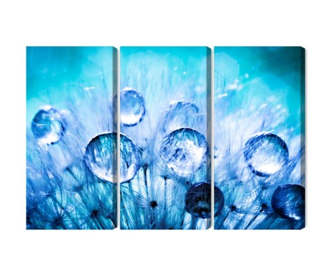 Obraz Wieloczęściowy Krople Rosy Na Nasionach Mniszka Lekarskiego W Skali Makro Canvas 150x100 LBS-3703-C150-100_3X50-100