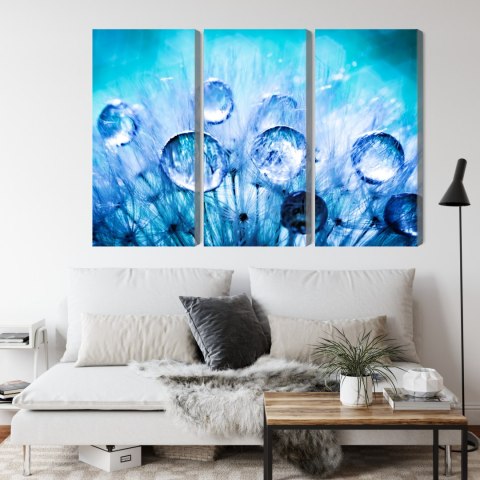 Obraz Wieloczęściowy Krople Rosy Na Nasionach Mniszka Lekarskiego W Skali Makro Canvas 150x100 LBS-3703-C150-100_3X50-100