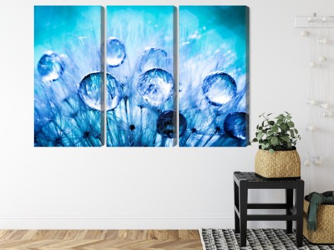 Obraz Wieloczęściowy Krople Rosy Na Nasionach Mniszka Lekarskiego W Skali Makro Canvas 180x120 LBS-3703-C180-120_3X60-120