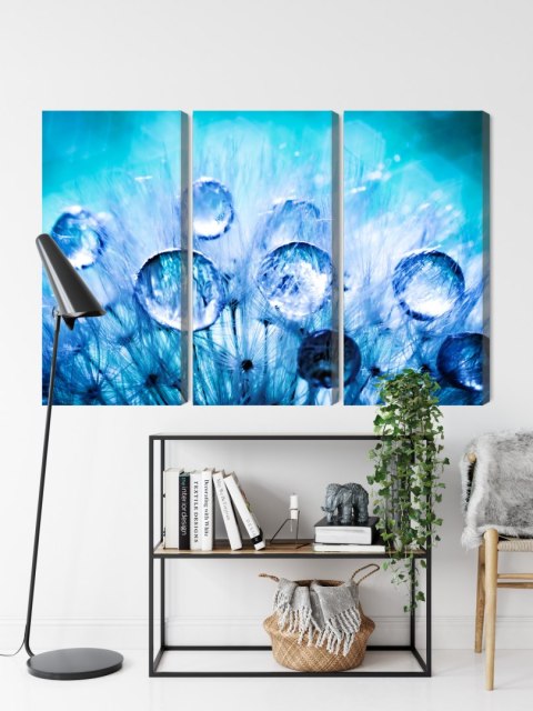 Obraz Wieloczęściowy Krople Rosy Na Nasionach Mniszka Lekarskiego W Skali Makro Canvas 180x120 LBS-3703-C180-120_3X60-120