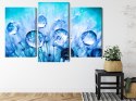 Obraz Wieloczęściowy Krople Rosy Na Nasionach Mniszka Lekarskiego W Skali Makro Canvas 180x120 LBS-3704-C180-120_1X60-120_2X60-