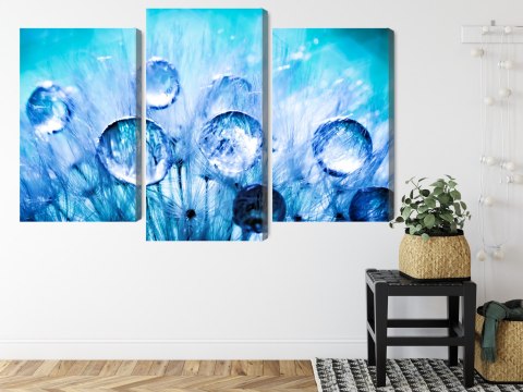 Obraz Wieloczęściowy Krople Rosy Na Nasionach Mniszka Lekarskiego W Skali Makro Canvas 180x120 LBS-3704-C180-120_1X60-120_2X60-
