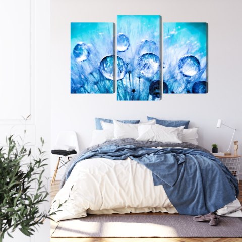 Obraz Wieloczęściowy Krople Rosy Na Nasionach Mniszka Lekarskiego W Skali Makro Canvas Naturalny 180x120 LBS-3704-NC180-120_1X6