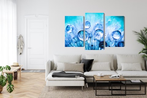 Obraz Wieloczęściowy Krople Rosy Na Nasionach Mniszka Lekarskiego W Skali Makro Canvas Naturalny 180x120 LBS-3704-NC180-120_1X6