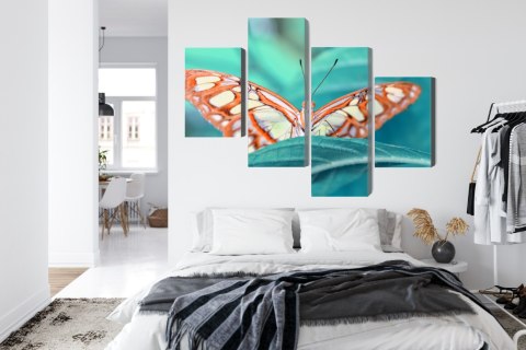 Obraz Wieloczęściowy Motyl Na Liściu W Skali Makro Canvas 160x100 LBS-3941-C160-100_2X40-100_2X40-60