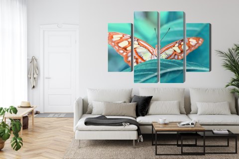 Obraz Wieloczęściowy Motyl Na Liściu W Skali Makro Canvas 160x120 LBS-3940-C160-120_2X40-120_2X40-80