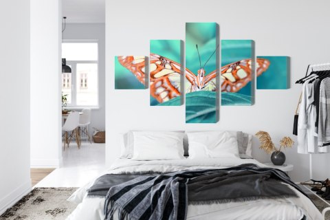 Obraz Wieloczęściowy Motyl Na Liściu W Skali Makro Canvas 200x120 LBS-3942-C200-120_1X40-120_2X40-80_2X40-40