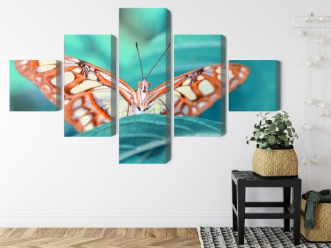 Obraz Wieloczęściowy Motyl Na Liściu W Skali Makro Canvas 250x150 LBS-3942-C250-150_1X50-150_2X50-100_2X50-50