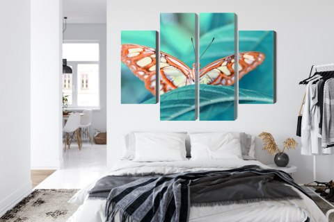 Obraz Wieloczęściowy Motyl Na Liściu W Skali Makro Canvas Naturalny 120x90 LBS-3940-NC120-90_2X30-90_2X30-60