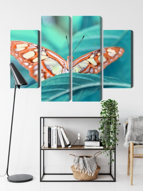 Obraz Wieloczęściowy Motyl Na Liściu W Skali Makro Canvas Naturalny 120x90 LBS-3940-NC120-90_2X30-90_2X30-60