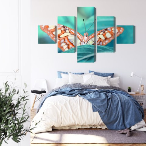Obraz Wieloczęściowy Motyl Na Liściu W Skali Makro Canvas Naturalny 150x90 LBS-3942-NC150-90_1X30-90_2X30-60_2X30-30