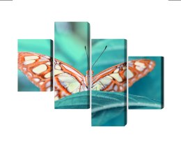 Obraz Wieloczęściowy Motyl Na Liściu W Skali Makro Canvas Naturalny 160x100 LBS-3941-NC160-100_2X40-100_2X40-60