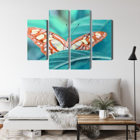 Obraz Wieloczęściowy Motyl Na Liściu W Skali Makro Canvas Naturalny 160x120 LBS-3940-NC160-120_2X40-120_2X40-80