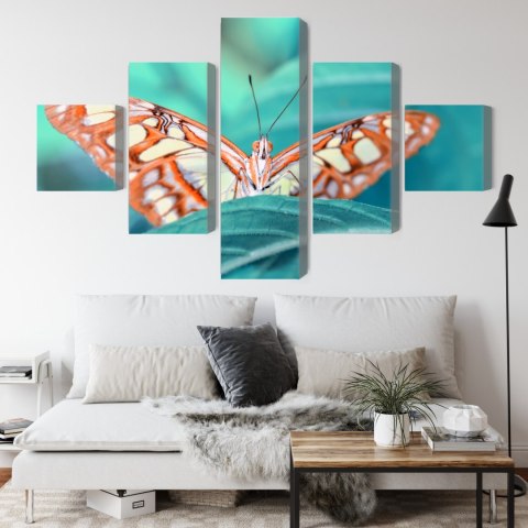 Obraz Wieloczęściowy Motyl Na Liściu W Skali Makro Canvas Naturalny 200x120 LBS-3942-NC200-120_1X40-120_2X40-80_2X40-40