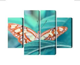 Obraz Wieloczęściowy Motyl Na Liściu W Skali Makro Canvas Naturalny 200x150 LBS-3940-NC200-150_2X50-150_2X50-100