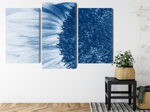 Obraz Wieloczęściowy Niebieski Słonecznik W Skali Makro Canvas 150x100 LBS-3909-C150-100_1X50-100_2X50-75