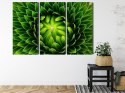Obraz Wieloczęściowy Zielona Roślina W Skali Makro Canvas 180x120 LBS-3708-C180-120_3X60-120