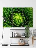 Obraz Wieloczęściowy Zielona Roślina W Skali Makro Canvas 180x120 LBS-3708-C180-120_3X60-120