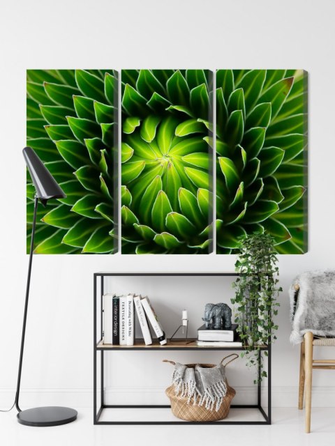 Obraz Wieloczęściowy Zielona Roślina W Skali Makro Canvas 180x120 LBS-3708-C180-120_3X60-120