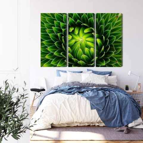 Obraz Wieloczęściowy Zielona Roślina W Skali Makro Canvas Naturalny 120x80 LBS-3708-NC120-80_3X40-80