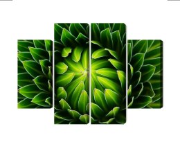 Obraz Wieloczęściowy Zielona Roślina W Skali Makro Canvas Naturalny 120x90 LBS-3710-NC120-90_2X30-90_2X30-60