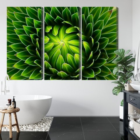 Obraz Wieloczęściowy Zielona Roślina W Skali Makro Canvas Naturalny 150x100 LBS-3708-NC150-100_3X50-100