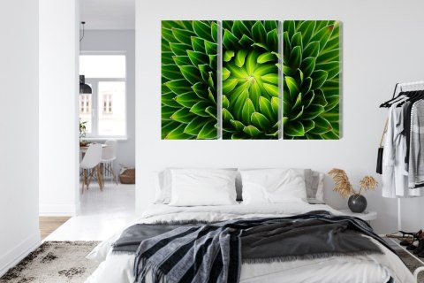 Obraz Wieloczęściowy Zielona Roślina W Skali Makro Canvas Naturalny 150x100 LBS-3708-NC150-100_3X50-100