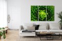 Obraz Wieloczęściowy Zielona Roślina W Skali Makro Canvas Naturalny 180x120 LBS-3708-NC180-120_3X60-120