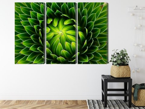 Obraz Wieloczęściowy Zielona Roślina W Skali Makro Canvas Naturalny 180x120 LBS-3708-NC180-120_3X60-120