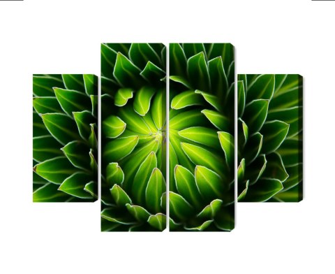 Obraz Wieloczęściowy Zielona Roślina W Skali Makro Canvas Naturalny 200x150 LBS-3710-NC200-150_2X50-150_2X50-100