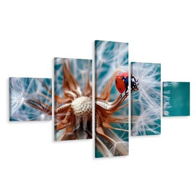 Obraz Wieloczęściowy Biedronka Na Mniszku Lekarskim W Skali Makro Canvas 150x90 LBS-3957-C150-90_1X30-90_2X30-60_2X30-30