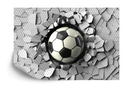 Fototapeta 3D Dla Chłopca, Piłka Flizelina 208x146 FT-1925-VEXL