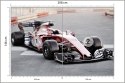 Fototapeta Bolid F1 Na Lini Startu Flizelina 208x146 FT-3795-VEXL
