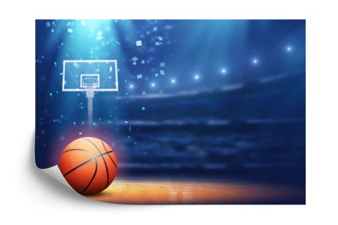 Fototapeta Koszykówka Na Stadionie Flizelina 208x146 FT-3125-VEXL