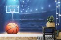 Fototapeta Koszykówka Na Stadionie Flizelina 208x146 FT-3125-VEXL