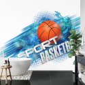 Fototapeta Koszykówka W Nowoczesnym Stylu Flizelina 208x146 FT-3128-VEXL