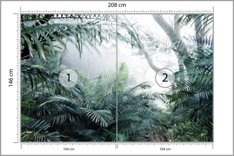 Fototapeta Las We Mgle Flizelina 208x146 FT-3489-VEXL