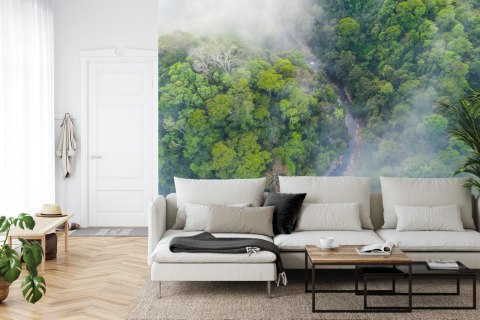 Fototapeta Las We Mgle Flizelina 208x146 FT-456-VEXL