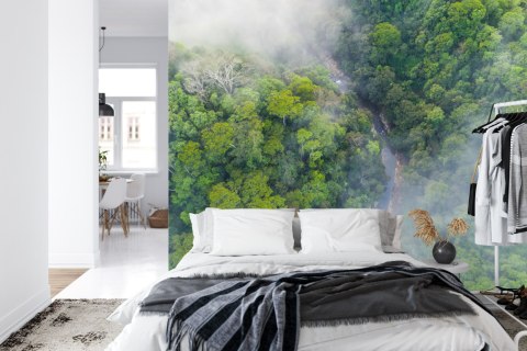 Fototapeta Las We Mgle Flizelina 208x146 FT-456-VEXL