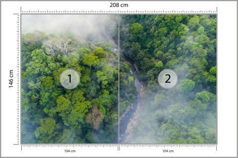 Fototapeta Las We Mgle Flizelina 208x146 FT-456-VEXL