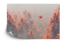 Fototapeta Las We Mgle Flizelina 208x146 FT-458-VEXL