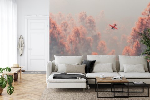 Fototapeta Las We Mgle Flizelina 208x146 FT-458-VEXL